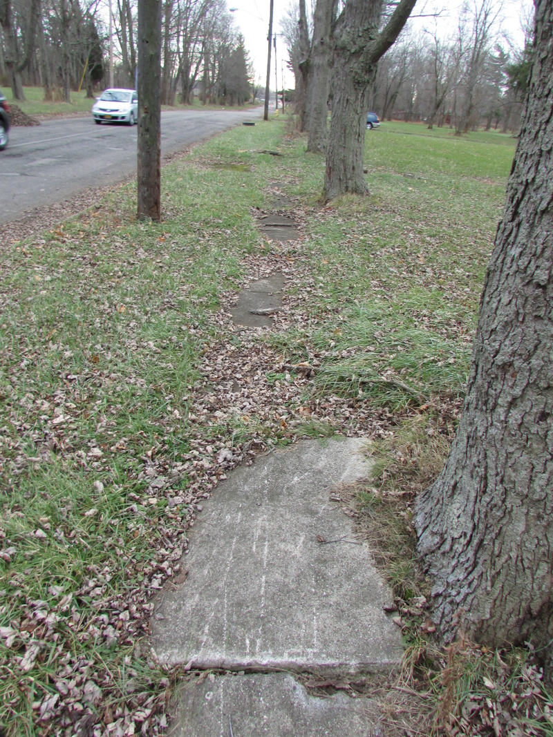 Illustration for article titled Me and the Subaru Visited Love Canal Today